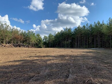 43.93 Ac Thomas Springs Rd, Crossville, TN 38572 - photo 4