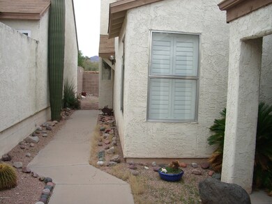 IMGP0533