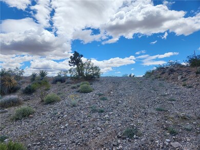 View of the cut driveway to the property looking t