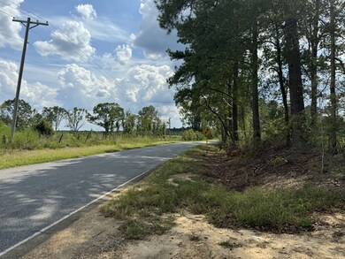 0 Busy Corner Rd, Gloster, MS 39638 - photo 7