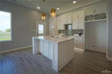 706 Santa Isabel St, Donna, TX 78537 - photo 6