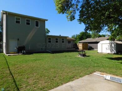 back yard