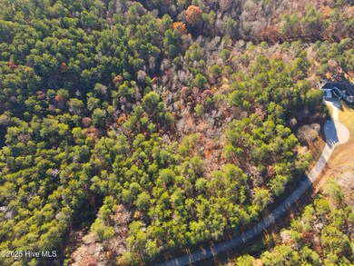 277 Riverhills Trail, Rockingham, NC 28379 - photo 5