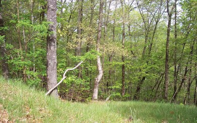 Additional View
