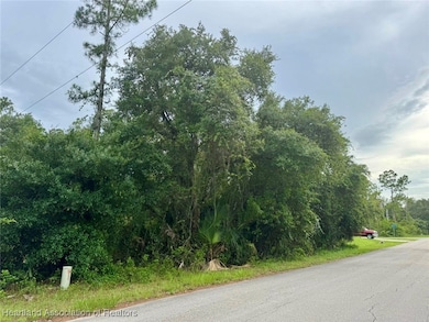 4202 E 21st St, Lehigh Acres, FL 33920 - photo 2