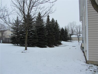 Nice back yard view