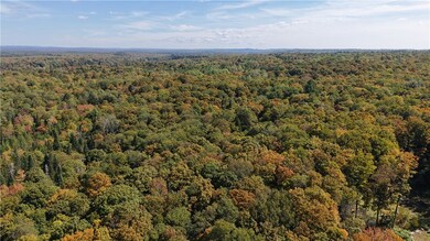 78 Culver Brook Rd, Boonville, NY 13309 - photo 5