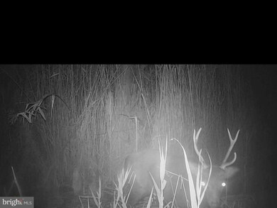 2465 Andrews Rd, Crapo, MD 21626 - photo 7