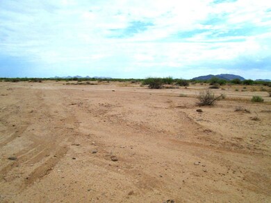 Photo of actual lot