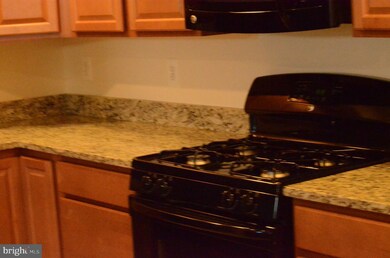 24598 Johnson Oak Terrace, Sterling, VA 20166 - photo 5