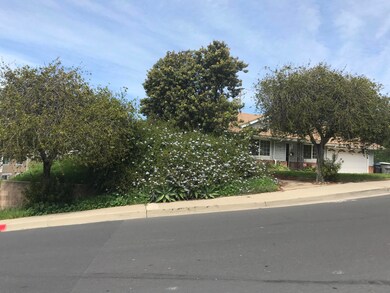 Berkeley_21