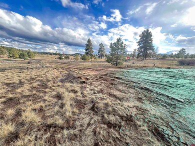 37 Arroyo Ct, Pagosa Springs, CO 81147 - photo 7