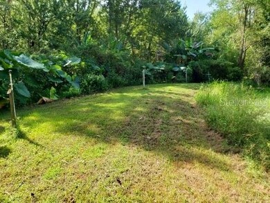 perfect area for a garden