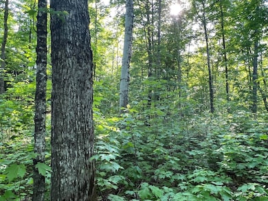 TBD359 Aaa Rd, Big Bay, MI 49808 - photo 6