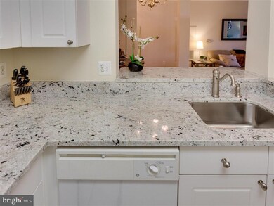 4551 Strutfield Ln unit 4217, Alexandria, VA 22311 - photo 4