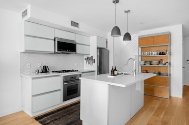 251 S 3rd St unit PHA, New York City, NY 11211 - photo 3