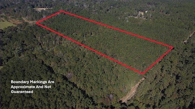 12 Acres Bruhl Rd, Folsom, LA 70437 - photo 3