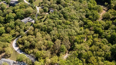 Lots 1-3 Olear'Y Dr, Kimberling City, MO 65686 - photo 3