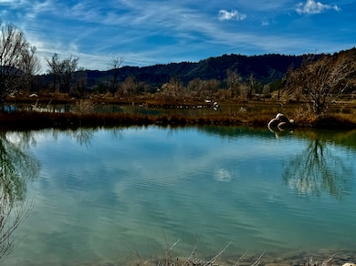 7149/7498 County Road 213, Durango, CO 81303 - photo 7