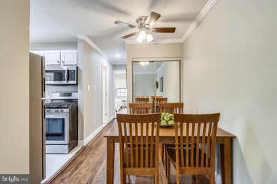 2241 Farrington Ave unit 203, Alexandria, VA 22303 - photo 5