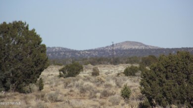 DSCF6793