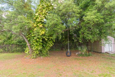 Back Yard 1