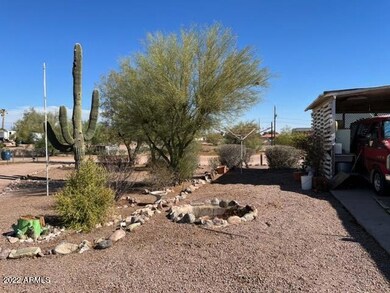 East side yard
