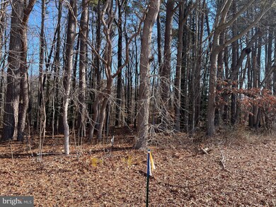 0 Beaver Dam Rd unit MDTA2009964, Trappe, MD 21673 - photo 7