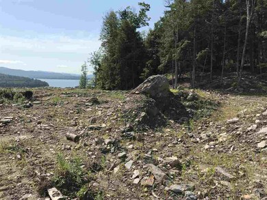 Lot 46 1-1 George Rd unit 46 1-1, Hebron, NH 03241 - photo 6