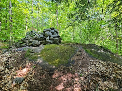 Lot 023-A Oak Hill Rd, Temple, ME 04984 - photo 5