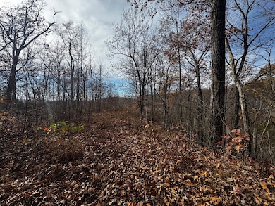 00 129-00-00-051 00 Ridgeline Rd, Raccoon, KY 41566 - photo 3