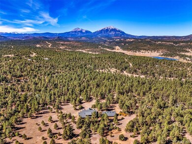 23100 Spirit Mountain Dr, Aguilar, CO 81020 - photo 5