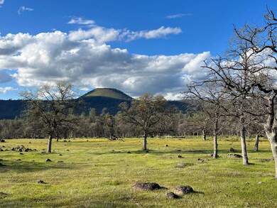 21675 Wildcat Rd, Paynes Creek, CA 96075 - photo 4