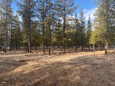 0 Alderwood Dr unit 220212563, La Pine, OR 97739 - photo 5