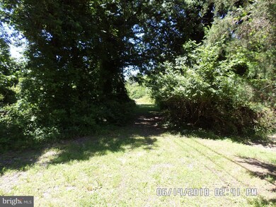 5414 Walker Mill Rd, Capitol Heights, MD 20743 - photo 5