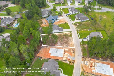 Lot 76 S Founders Way, Hattiesburg, MS 39401 - photo 5