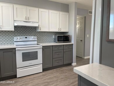 10218 W Mission Ln, Sun City, AZ 85351 - photo 3