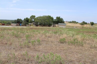 101 Kathy Stephens Ave, Springtown, TX 76082 - photo 5