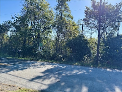 TBD W Main St, Barnesville, OH 43713 - photo 2