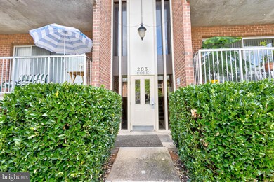 203 Cork Ln unit T2, Reisterstown, MD 21136 - photo 2