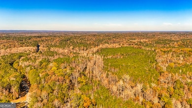 3201 Tommy Lee Cook Rd, Newnan, GA 30263 - photo 7