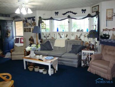 113 Charles St, Archbold, OH 43502 - photo 6