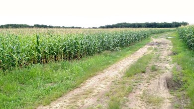 0 Hwy A unit 905101, Webster, WI 54893 - photo 6