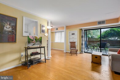 Takoma Phoenix unit 104, Takoma Park, MD 20912 - photo 6