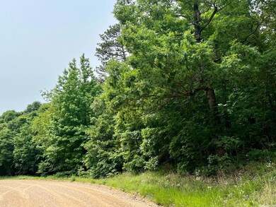 6.86 acres Greene 609 Rd, Paragould, AR 72450 - photo 7