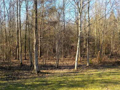 No neighbors behind!