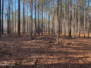 3227 Lee Landing Rd, New Bern, NC 28560 - photo 7