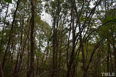 0 Pete Roberson Rd, Pittsboro, NC 27312 - photo 2