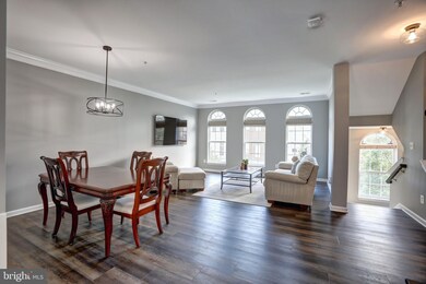 42234 Terrazzo Terrace, Stone Ridge, VA 20105 - photo 5