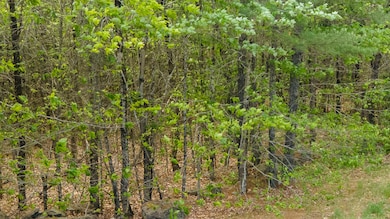 7 20250529-DJI_0950-HDR